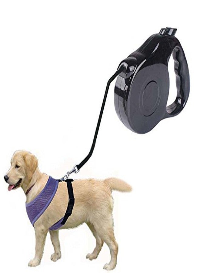 Futaba Outdoor Retracable Leash - black - Image 1